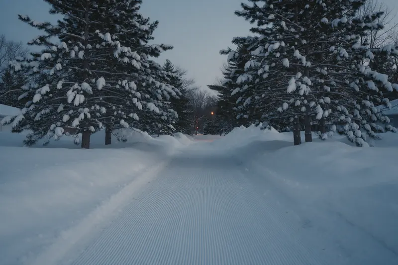 A cleared lane between snow-covered pines at dusk
